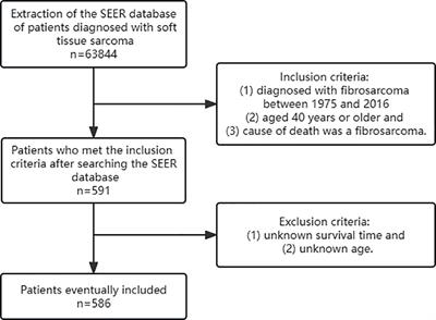 Identification and validation of a nomogram predicting cancer-specific survival for elderly patients with adult fibrosarcoma: a multicenter retrospective study